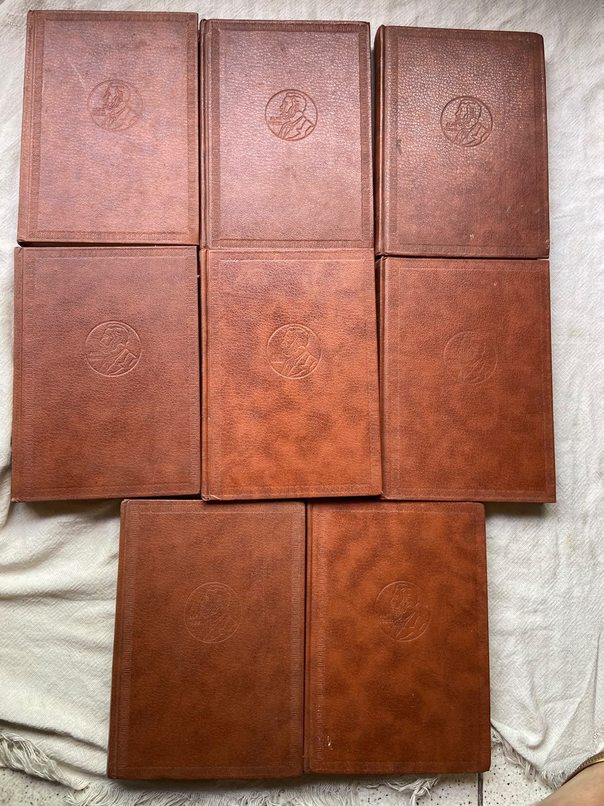 Livro Biblioteca Dos Prêmios Nobel De Literatura Box 17 Vol (Usado)