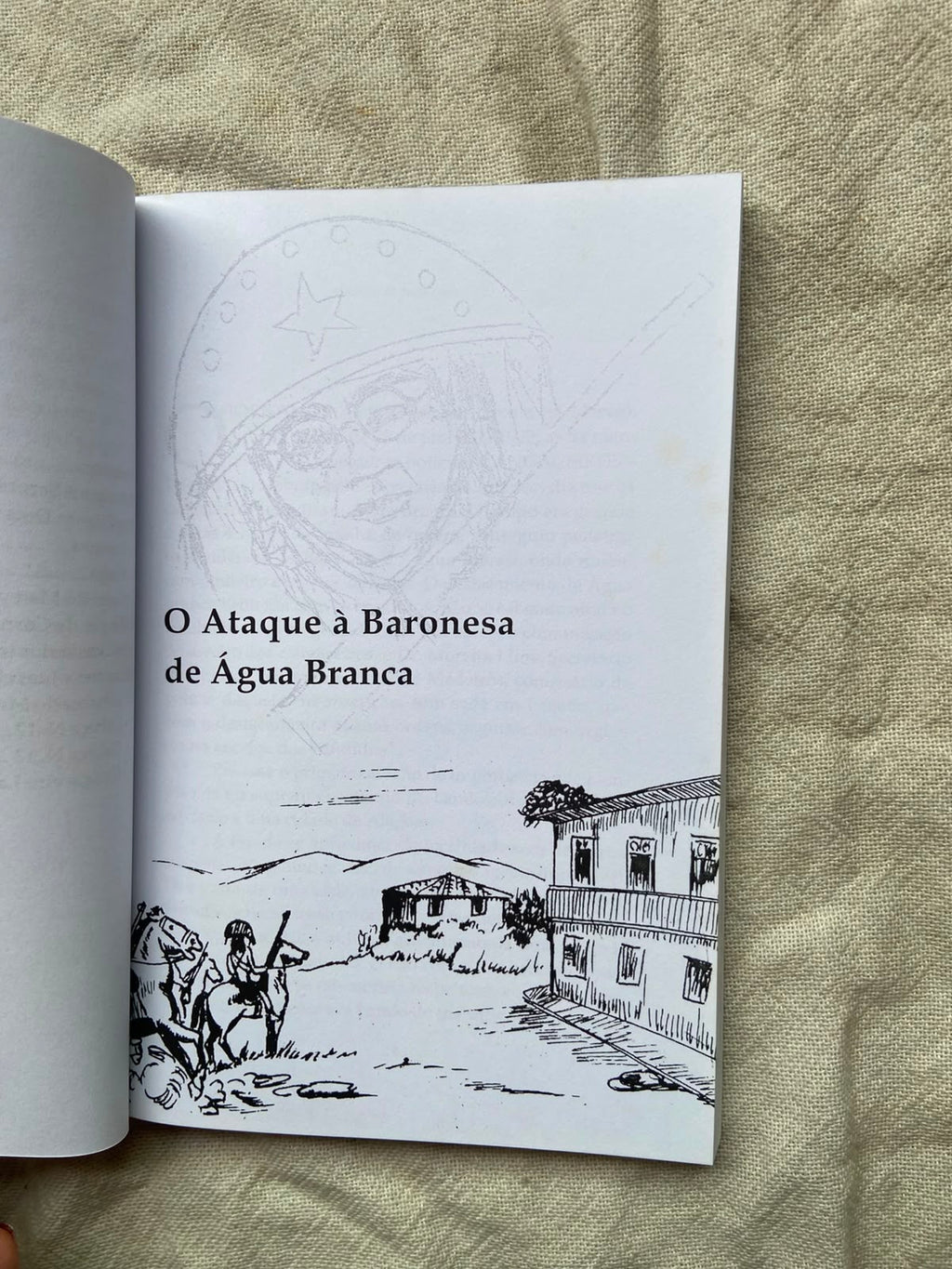 Livro O Cangaceiro Lampião E O Iv Mandamento 2011 (Usado)