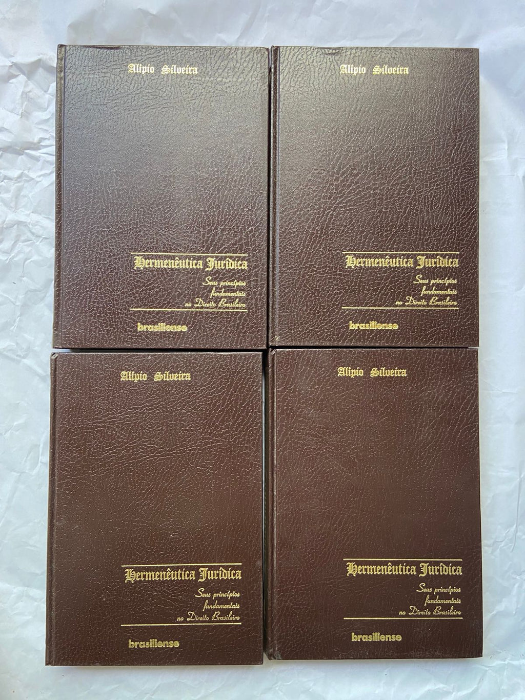 Livro Hermenêutica Jurídica Seus Princípios Fundamentais (Usado)
