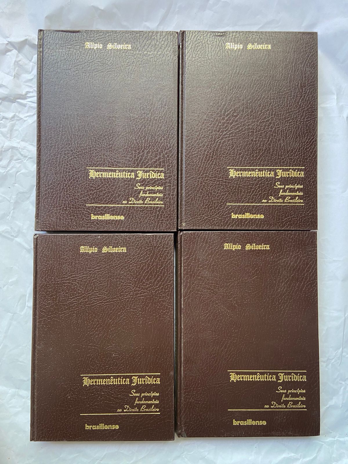Livro Hermenêutica Jurídica Seus Princípios Fundamentais (Usado)