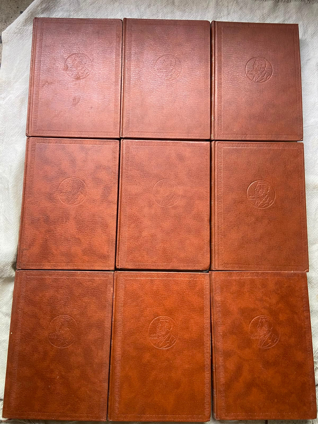 Livro Biblioteca Dos Prêmios Nobel De Literatura Box 17 Vol (Usado)
