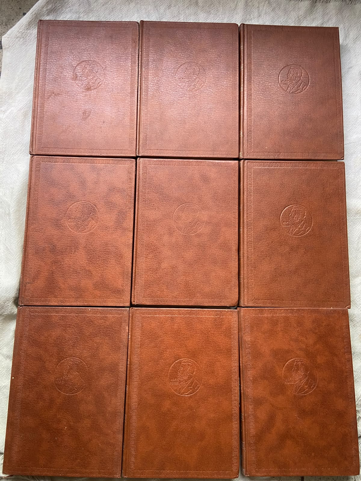 Livro Biblioteca Dos Prêmios Nobel De Literatura Box 17 Vol (Usado)