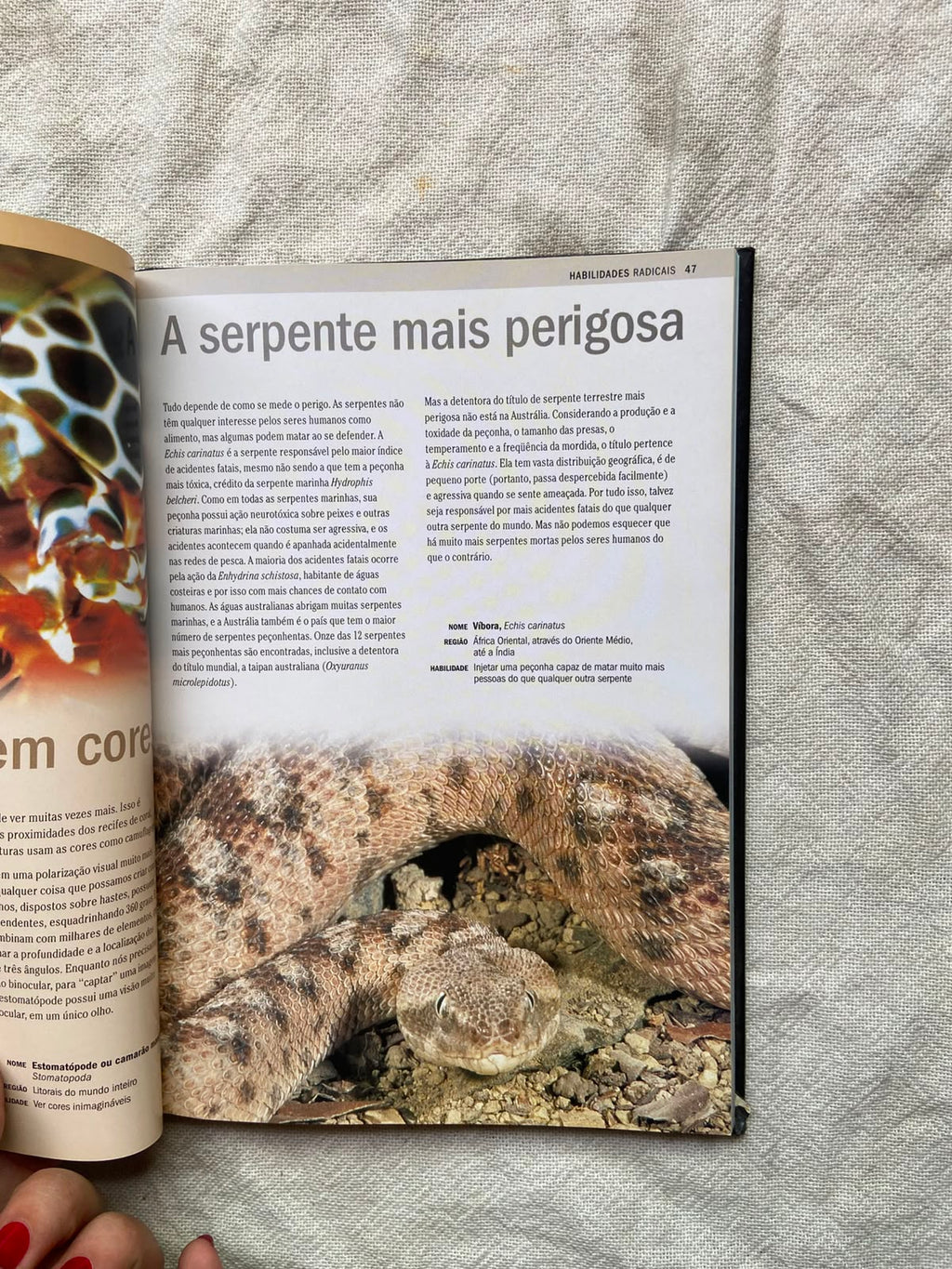 Livro Natureza Radical Capa Dura 2007 (Usado)
