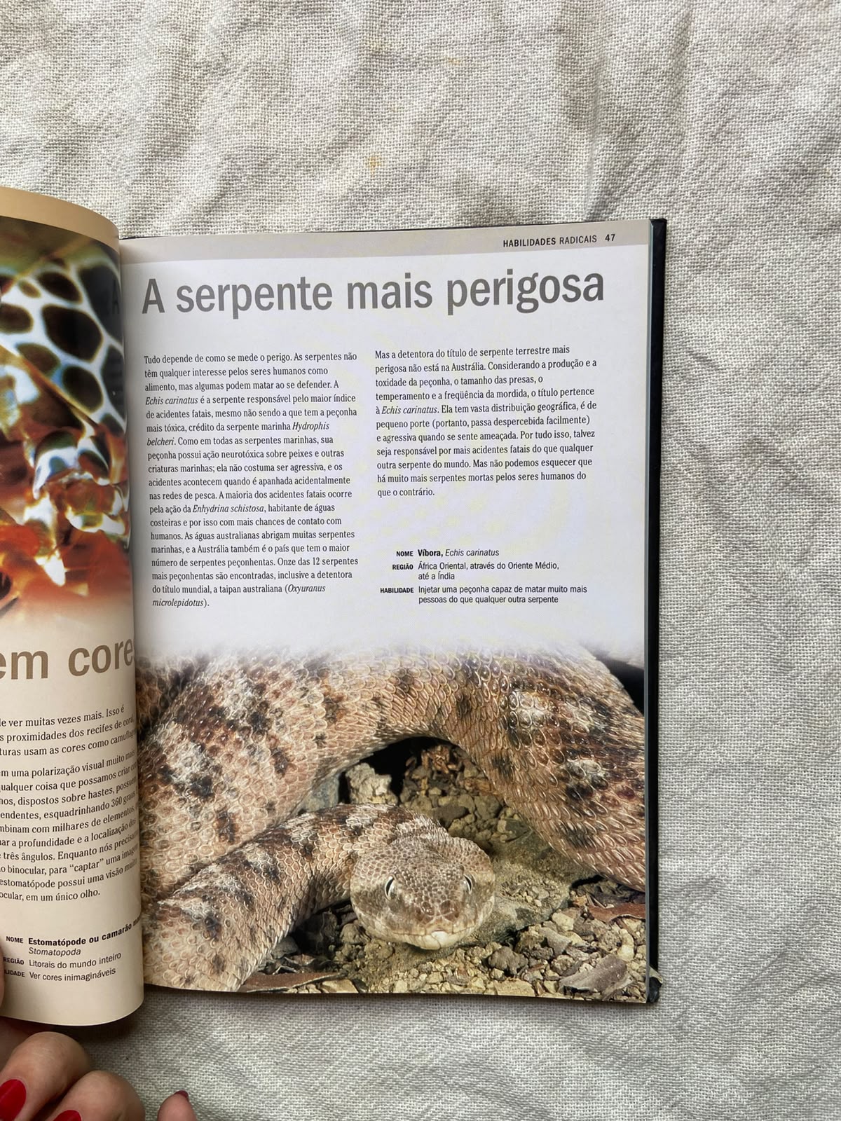 Livro Natureza Radical Capa Dura 2007 (Usado)