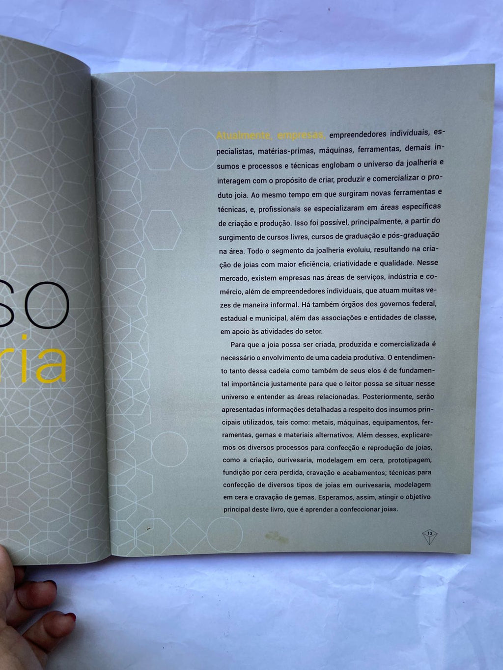 Livro Joias Fundamentos Processos E Técnicas 2013 (Usado)