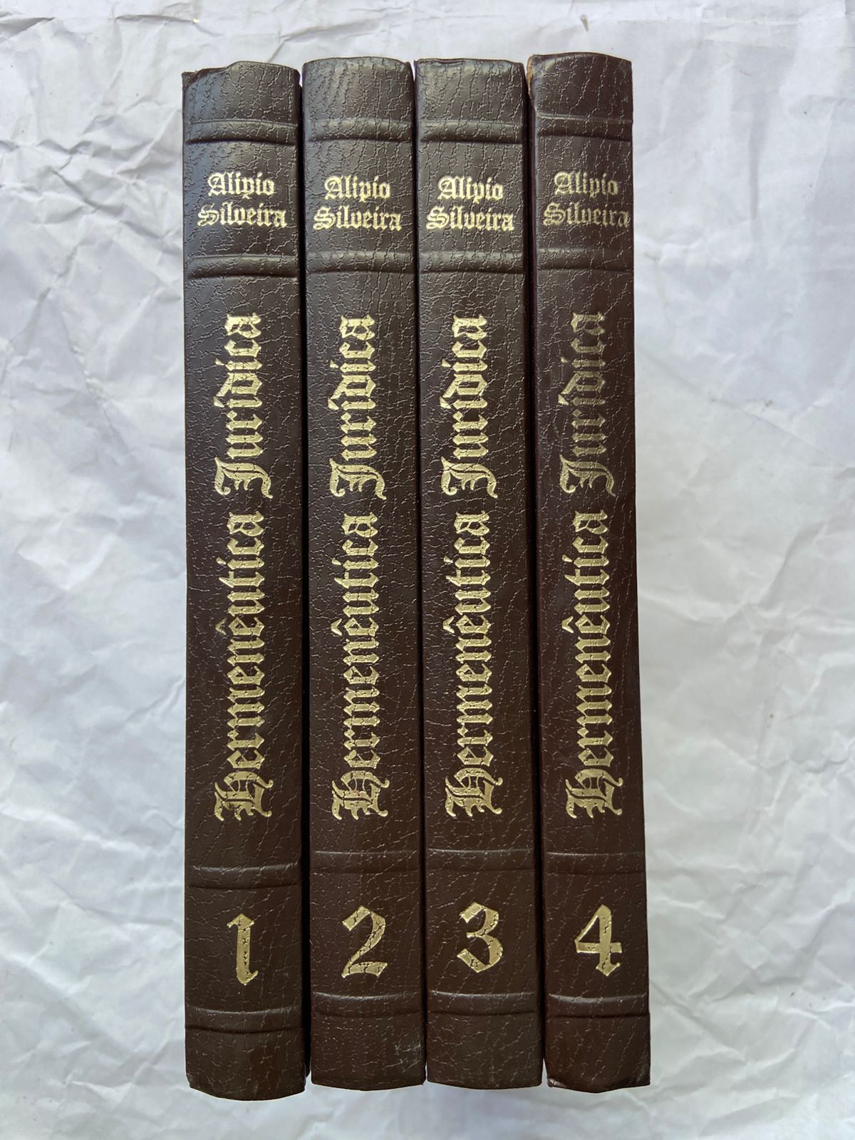 Livro Hermenêutica Jurídica Seus Princípios Fundamentais (Usado)