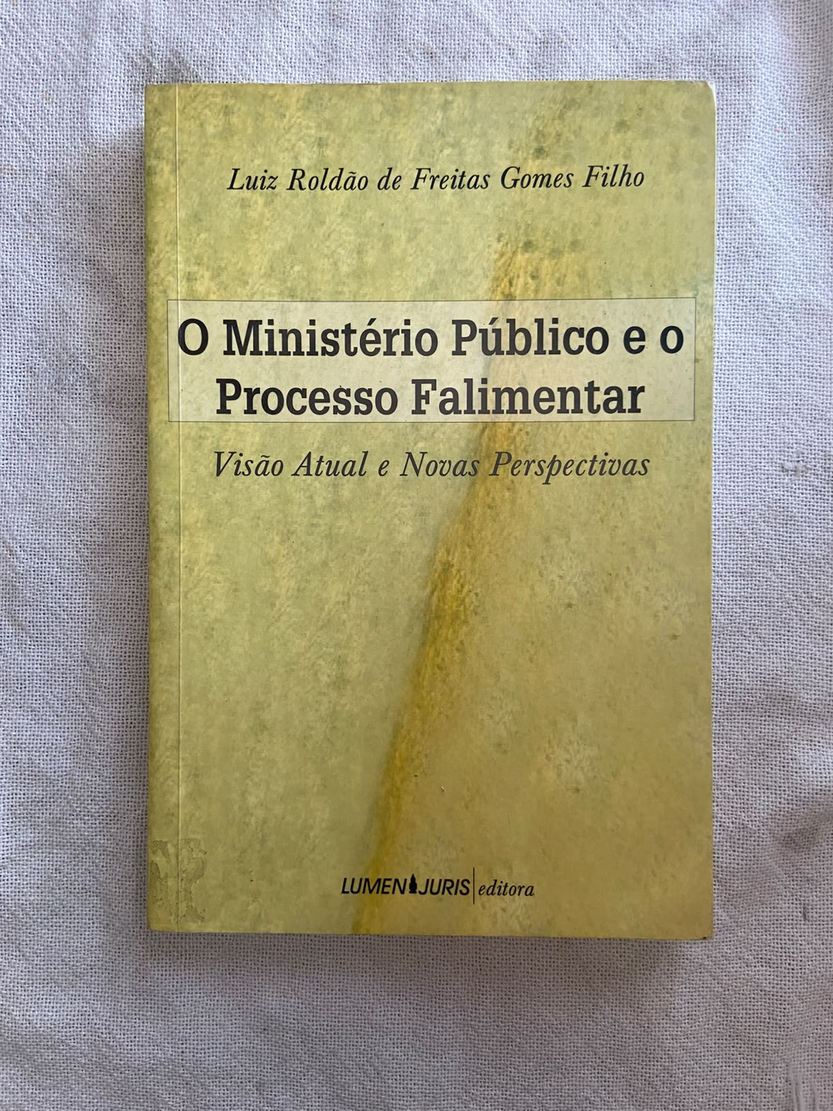 O ministério público e o processo falimentar visão atual e novas perspectivas