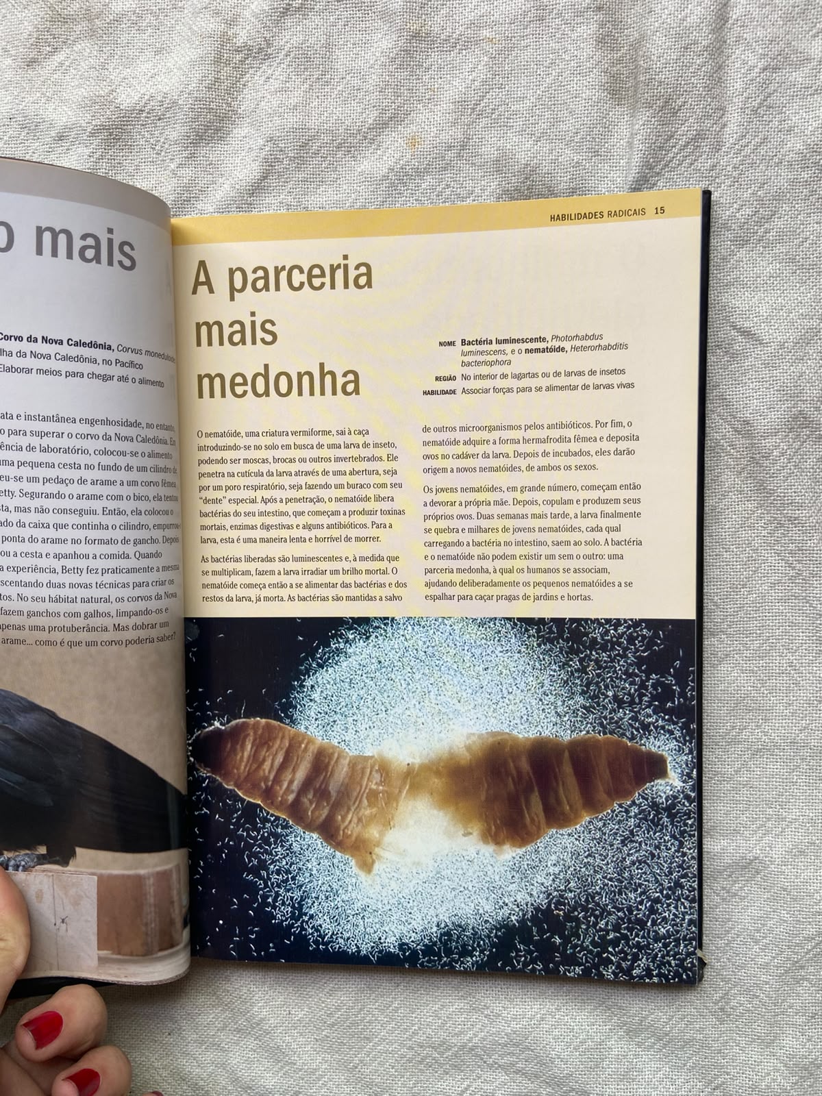 Livro Natureza Radical Capa Dura 2007 (Usado)