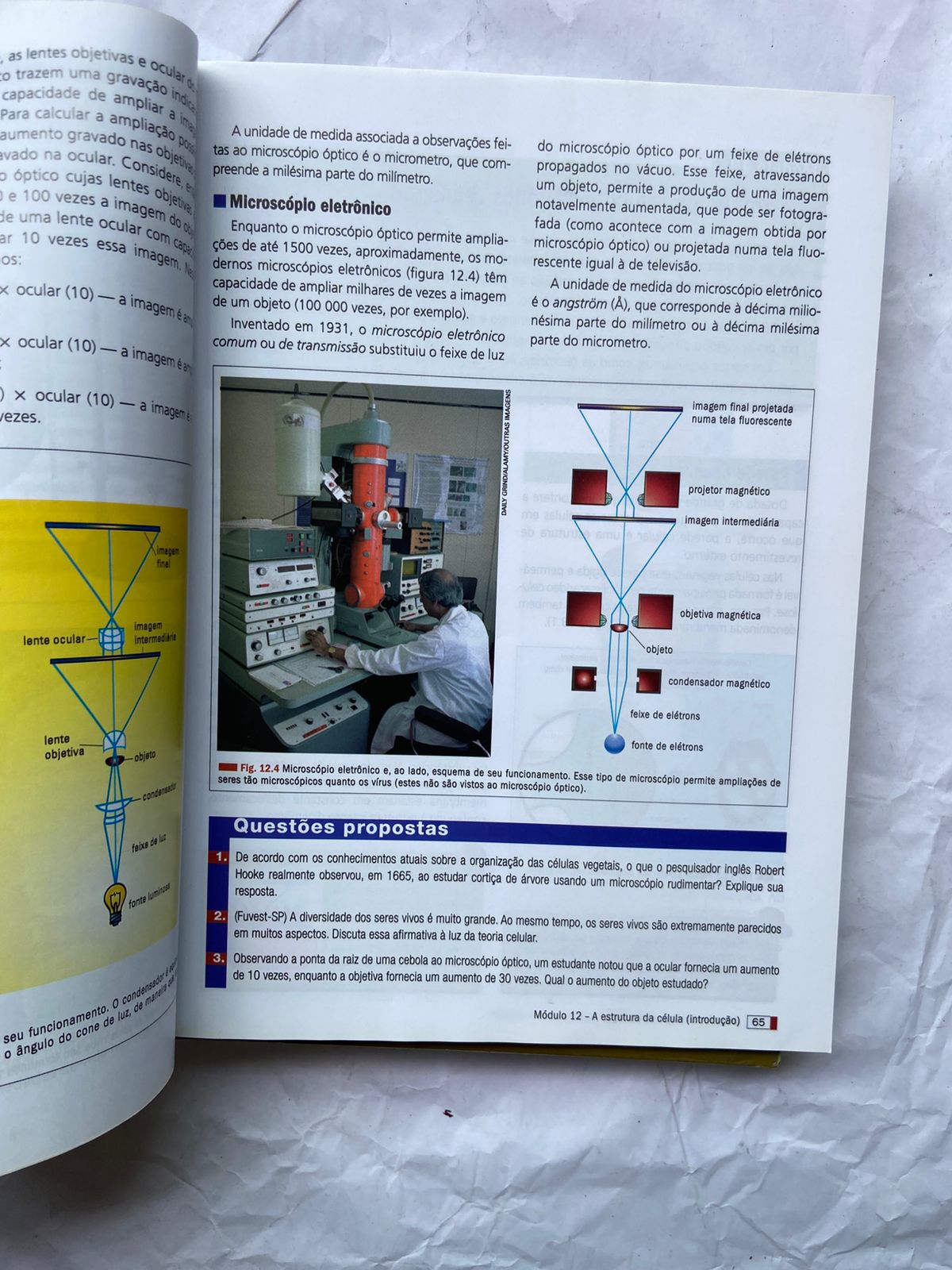 Livro Biologia Box 4 Vol Com Caderno De Revisão E Exercícios (Usado)