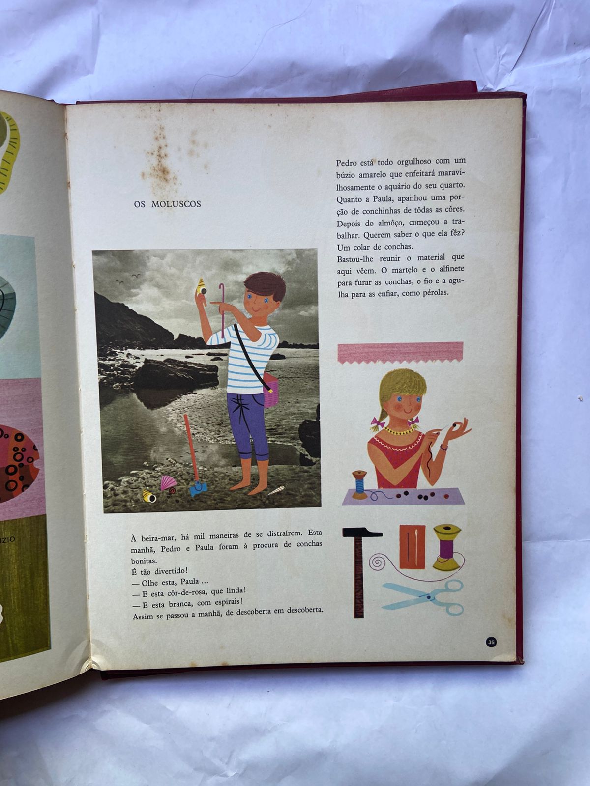 Livro Imagem Box 5 Volumes (Usado)