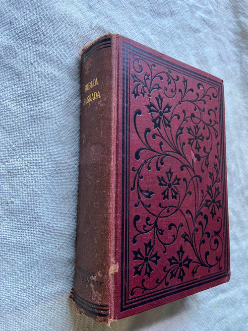 A Biblia Sagrada Contendo o Velho e o Novo Testamento Traduzida Em Por