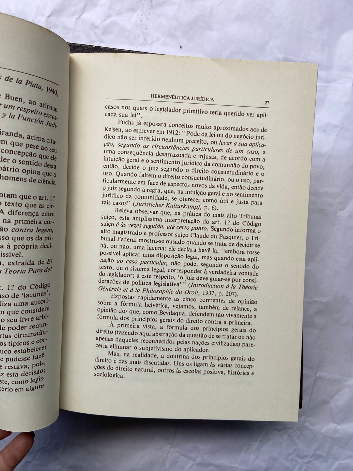 Livro Hermenêutica Jurídica Seus Princípios Fundamentais (Usado)