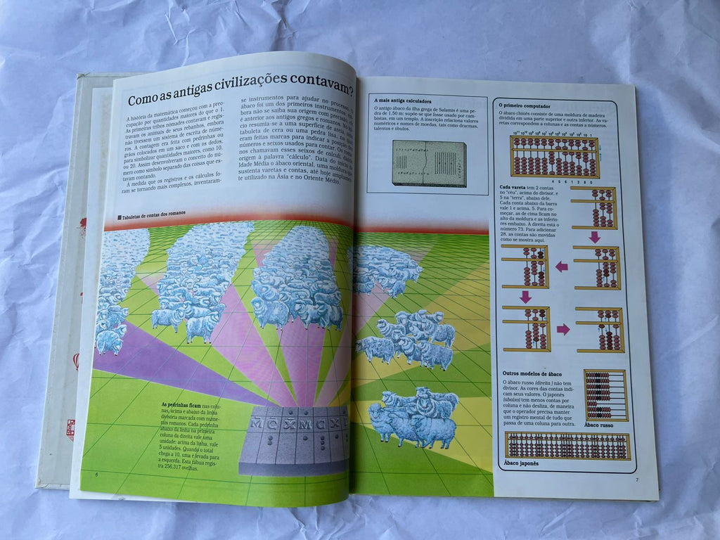 Livro A Era Do Computador Ciência E Natureza Col Time Life (Usado)