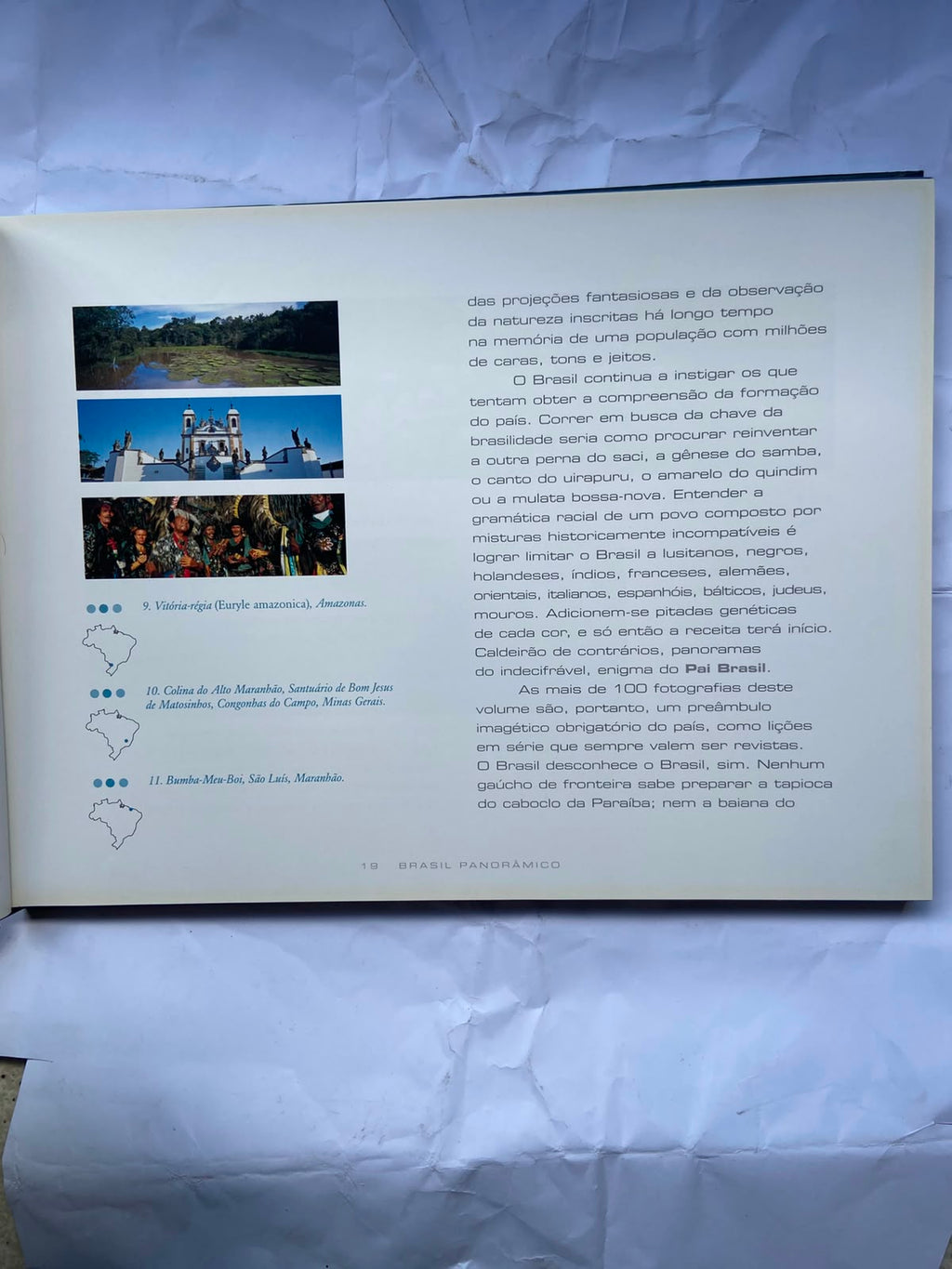 Livro Brasil Panorâmico 2009 (Usado)