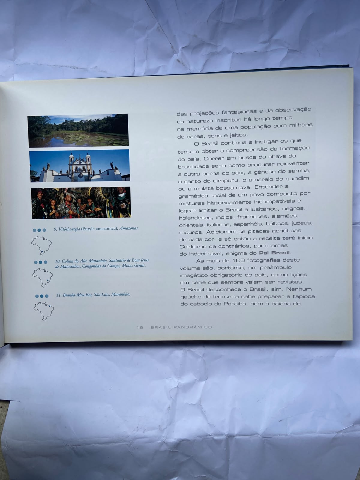 Livro Brasil Panorâmico 2009 (Usado)