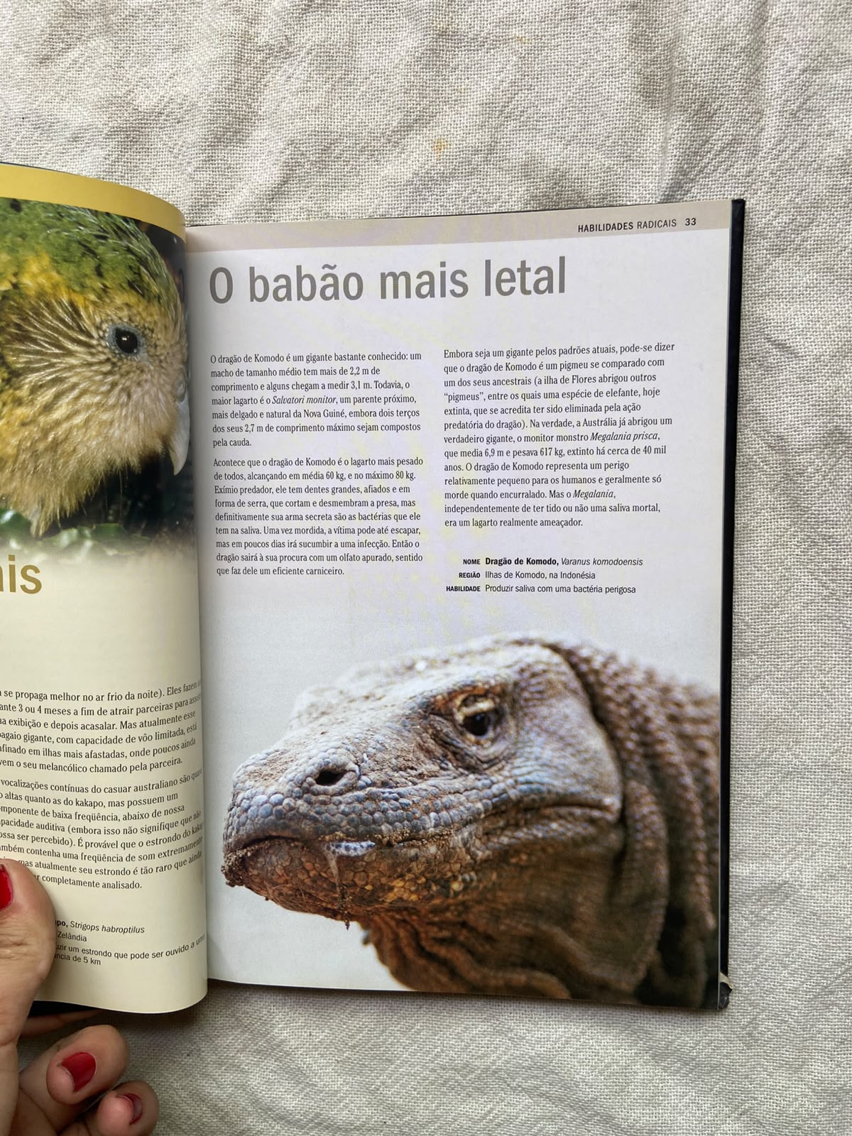 Livro Natureza Radical Capa Dura 2007 (Usado)