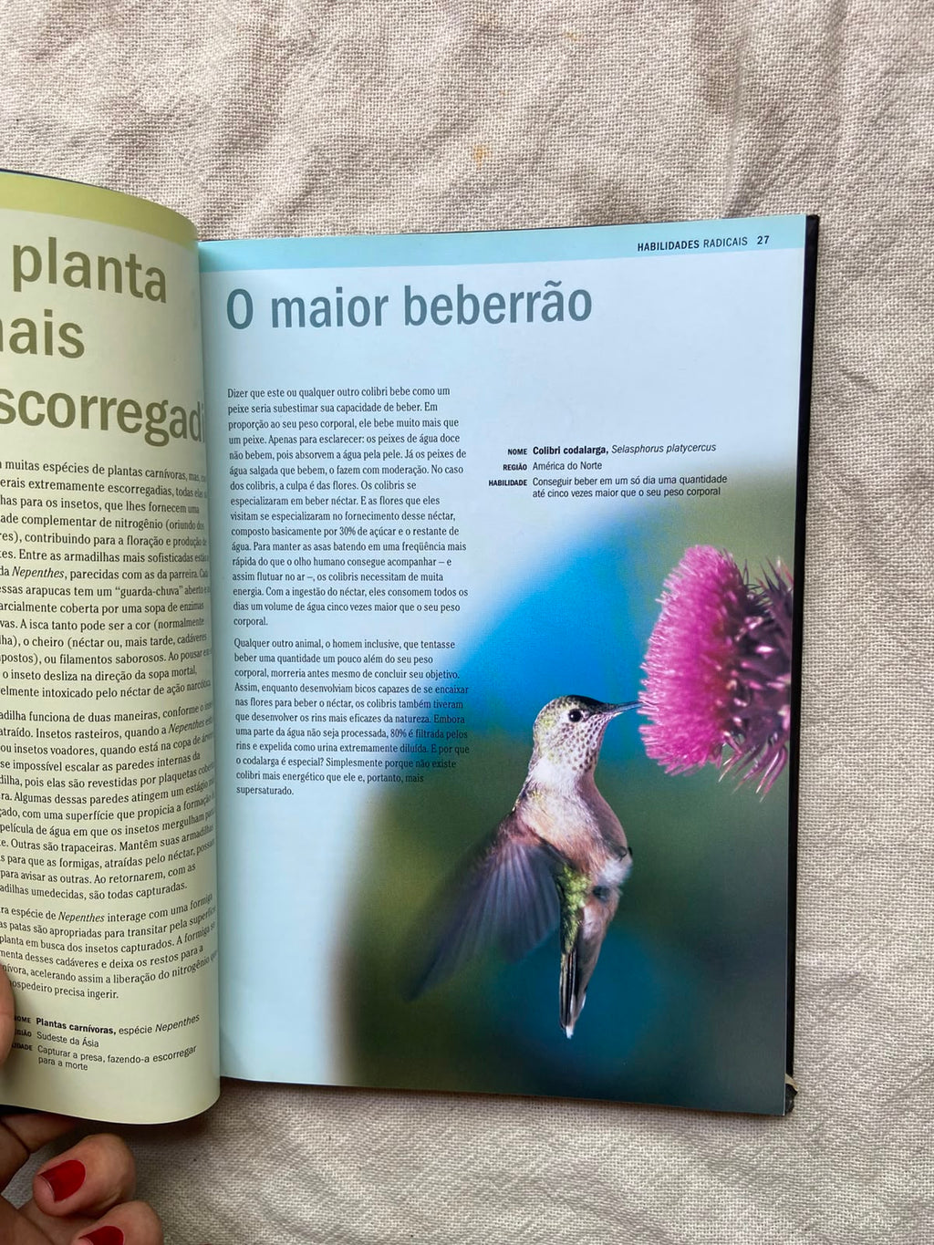 Livro Natureza Radical Capa Dura 2007 (Usado)
