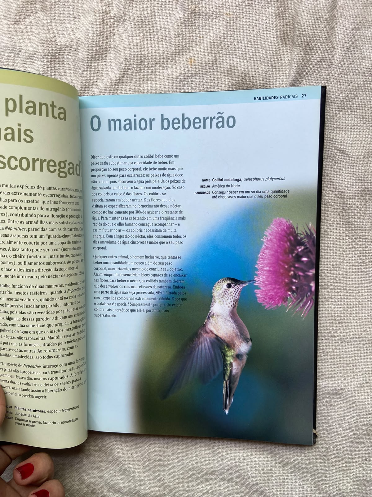 Livro Natureza Radical Capa Dura 2007 (Usado)