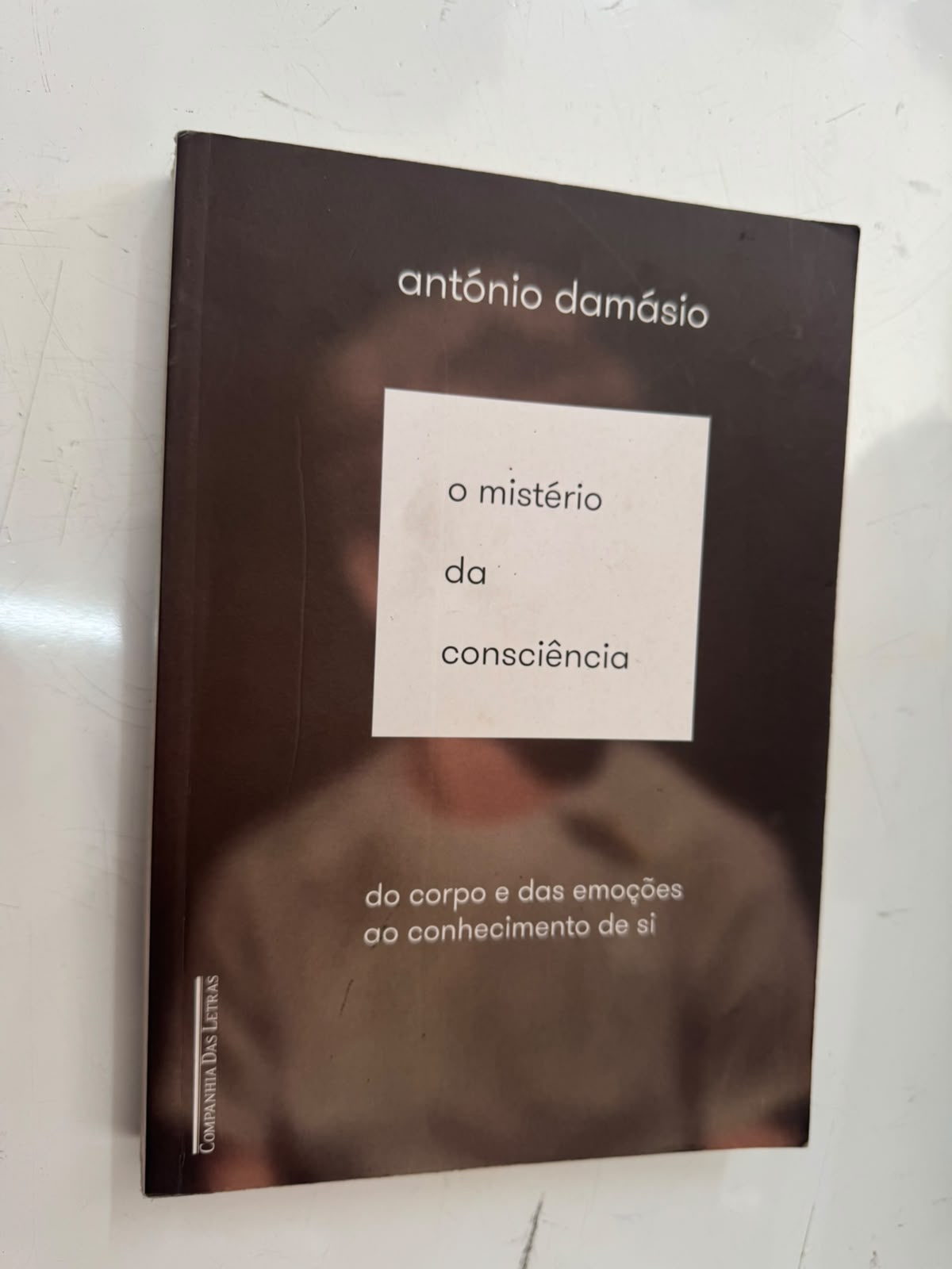O Mistério da Consciência