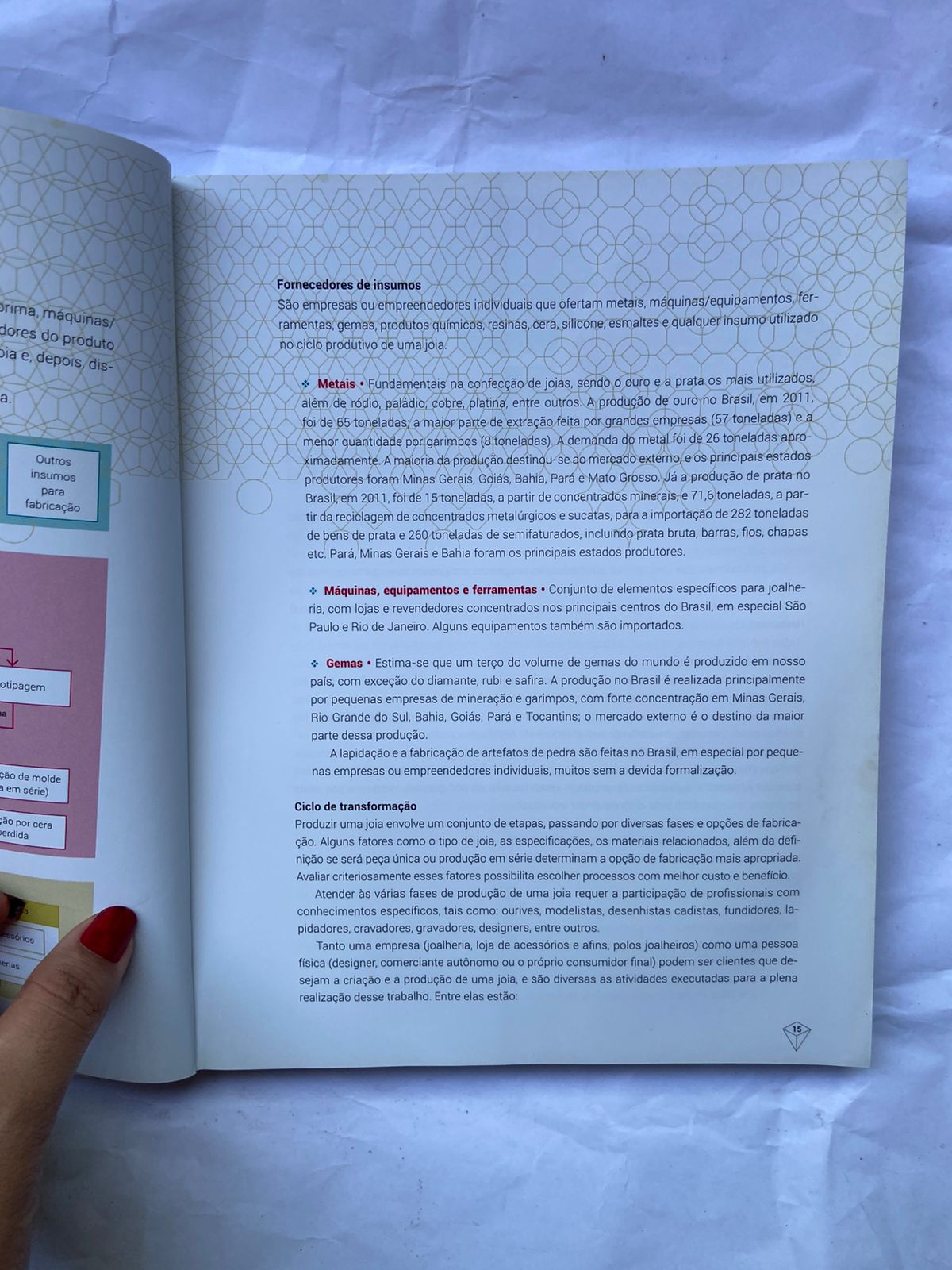 Livro Joias Fundamentos Processos E Técnicas 2013 (Usado)