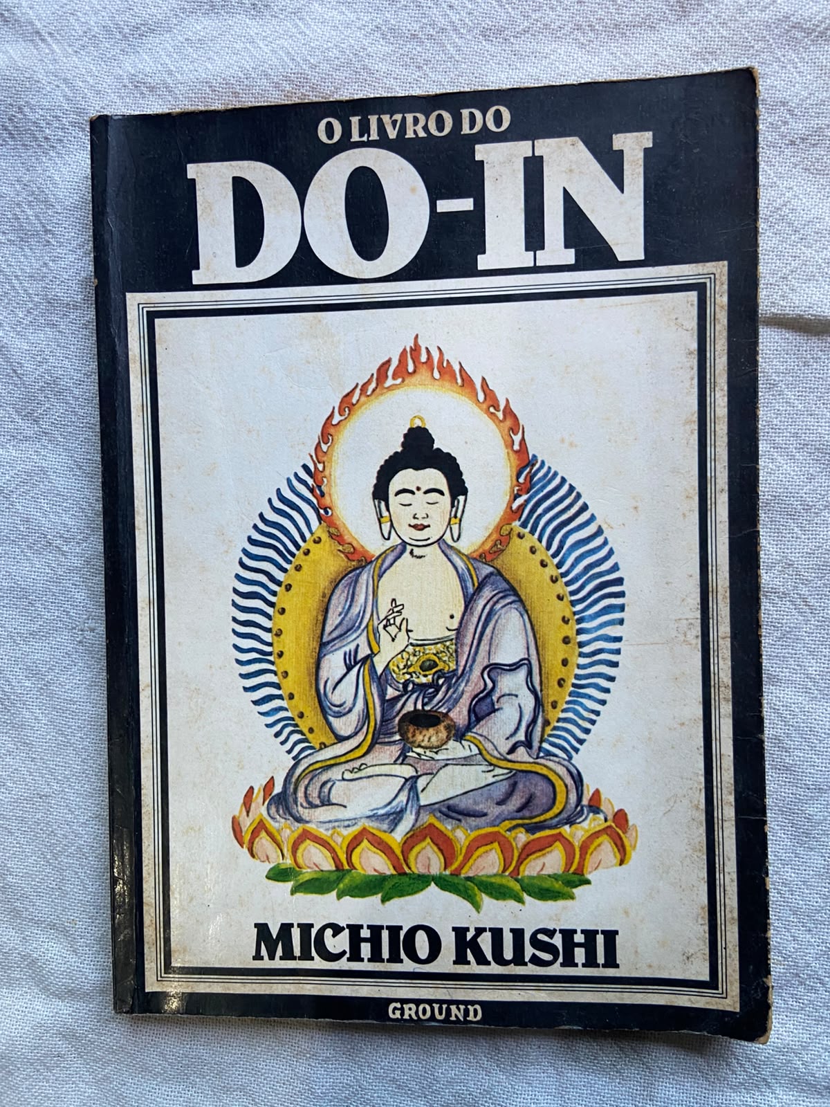 O Livro do do In