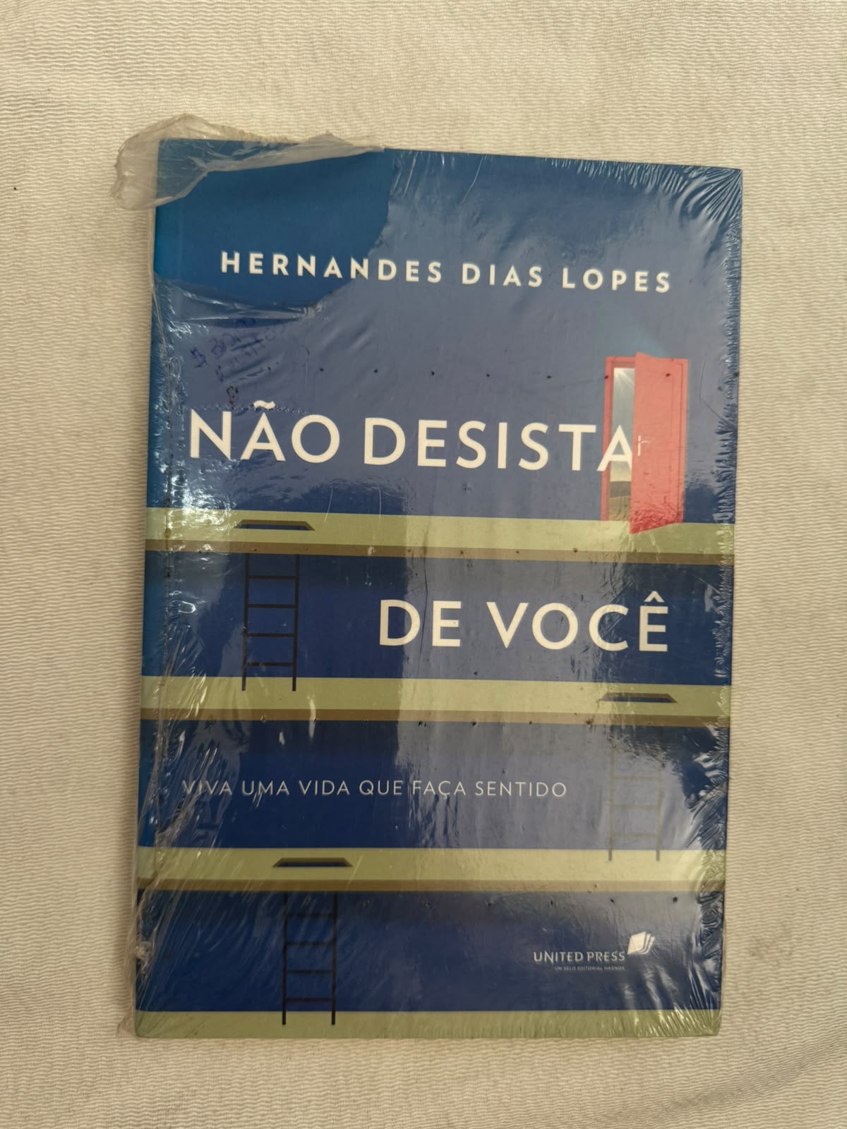Não Desista de Você Viva uma Vida Que Faça Sentido