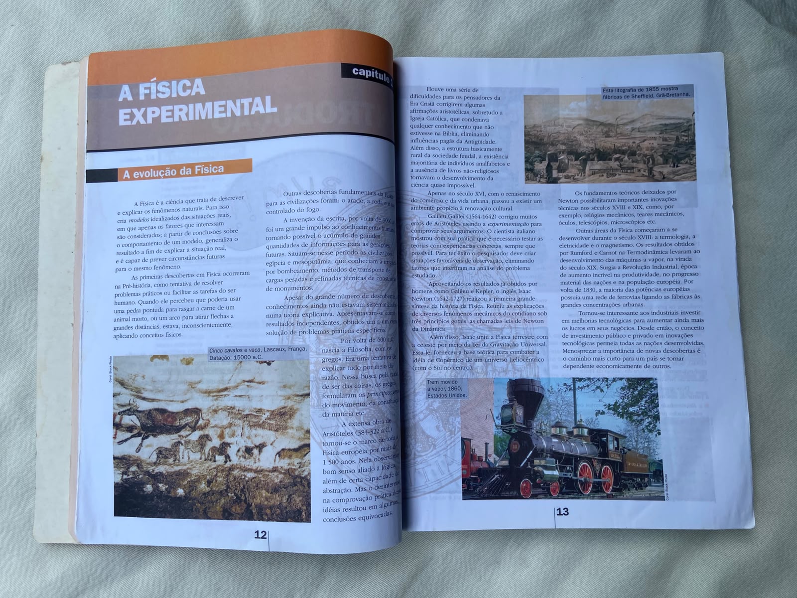 Livro Física História E Cotidiano Coleção Delta Único Prof (Usado)