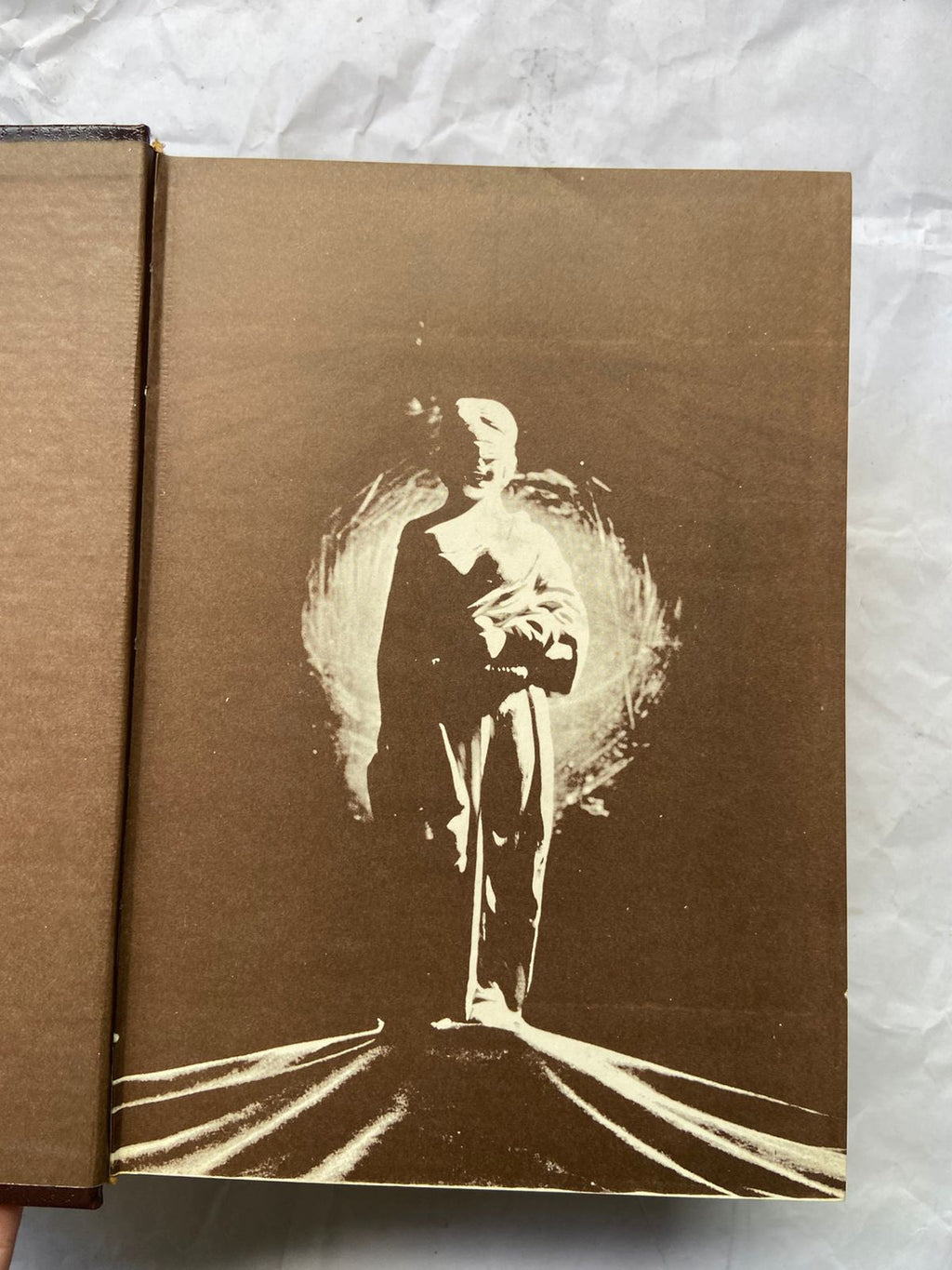 Livro Hermenêutica Jurídica Seus Princípios Fundamentais (Usado)