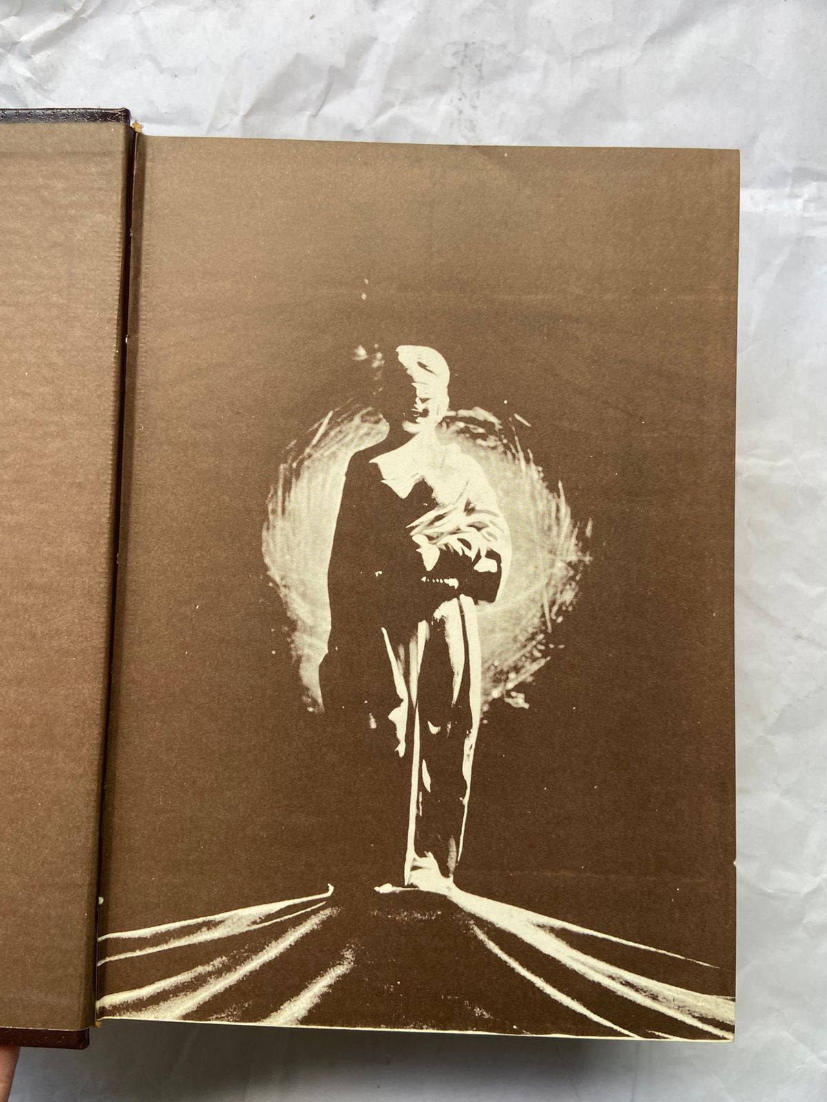 Livro Hermenêutica Jurídica Seus Princípios Fundamentais (Usado)