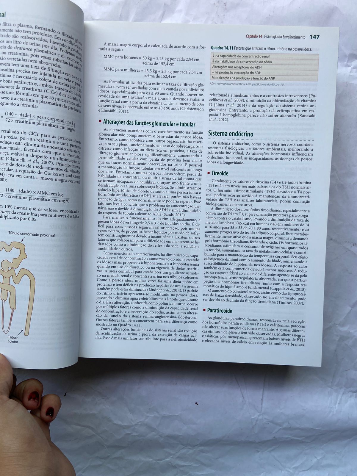 Livro Tratado De Geriatria E Gerontologia 4 Edição 2016 (Usado)