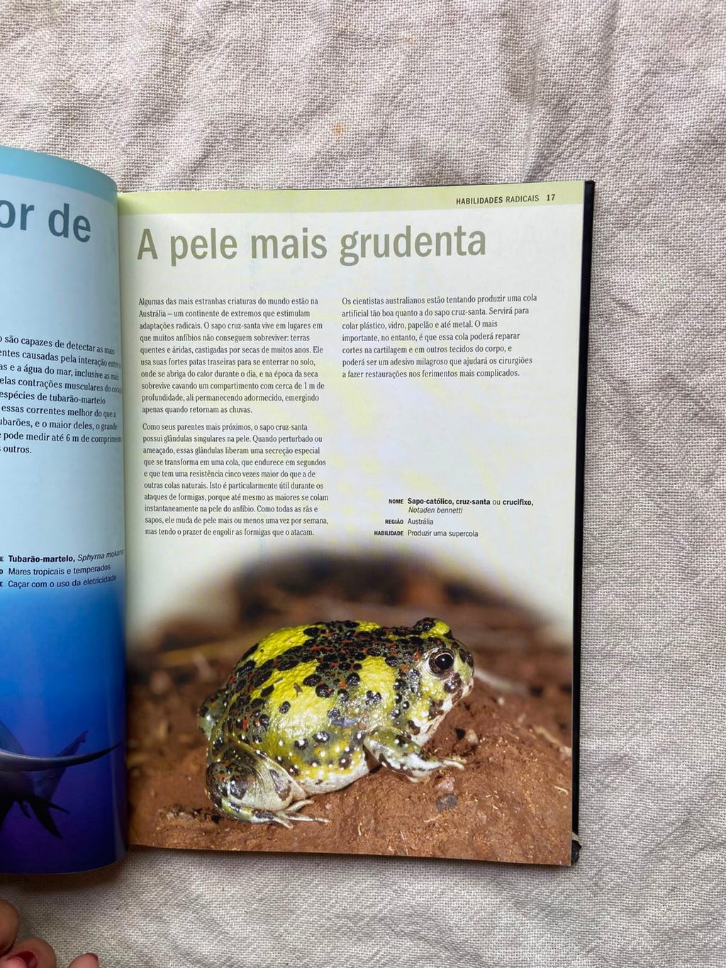 Livro Natureza Radical Capa Dura 2007 (Usado)