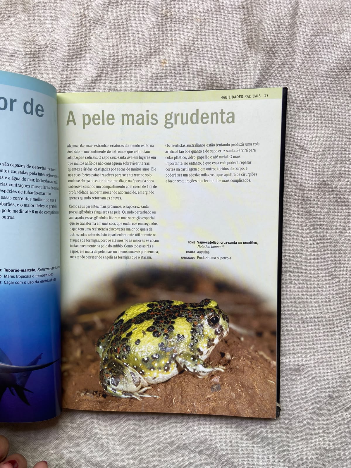 Livro Natureza Radical Capa Dura 2007 (Usado)