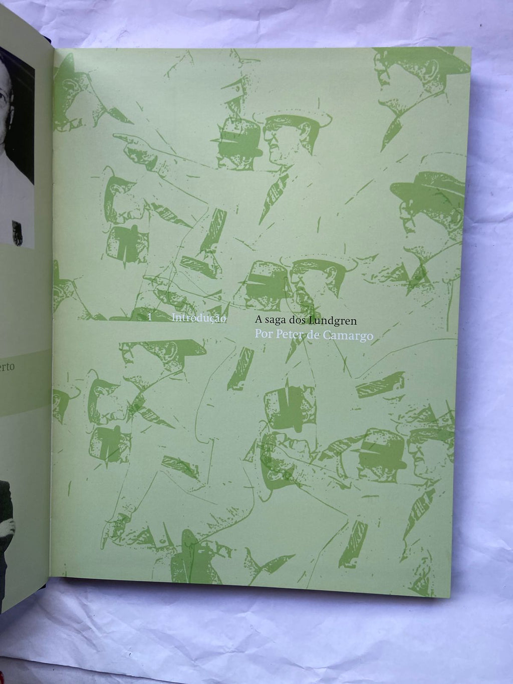 Livro 100 Anos Pernambucanas Com A Família Brasileira 2008 (Usado)