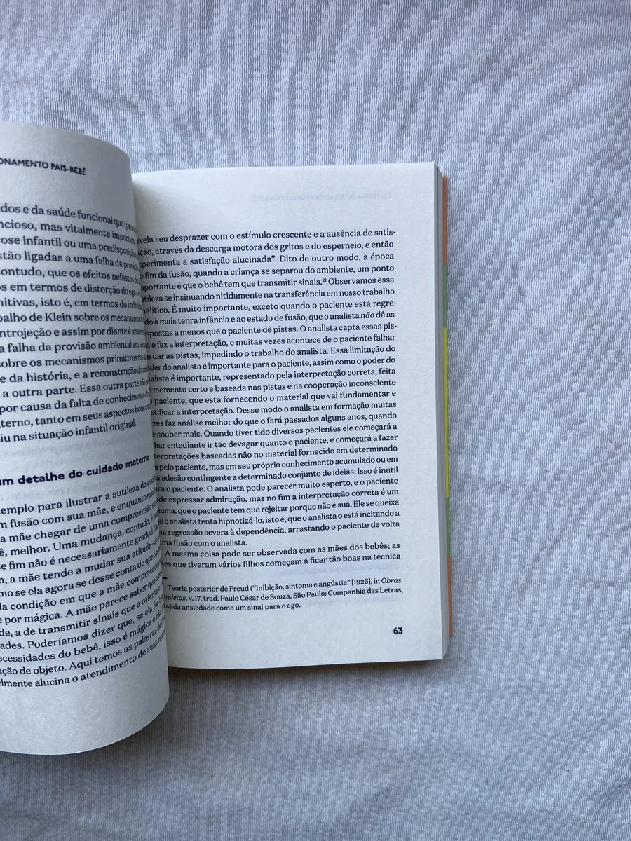 Livro Processo De Amadurecimento E Ambiente Facilitador (Usado)