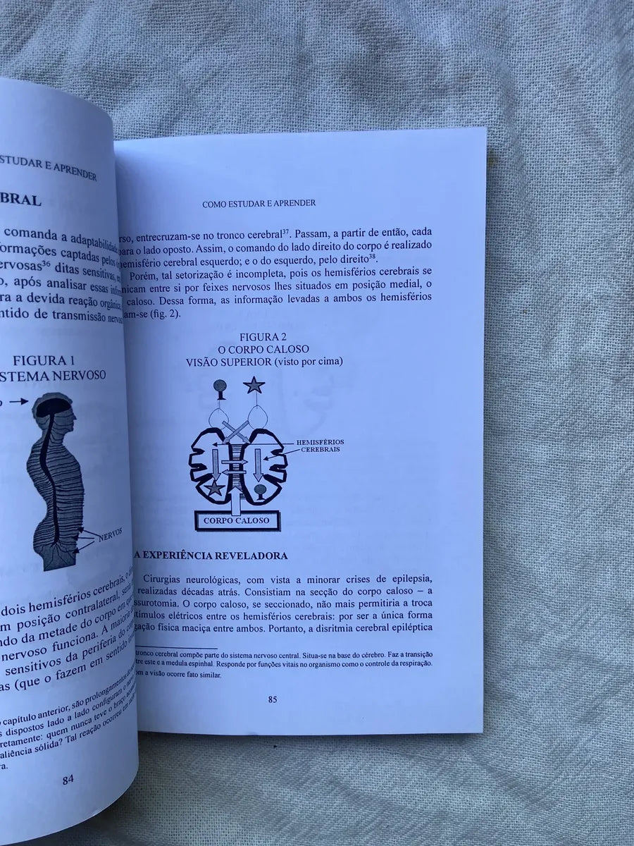 Livro Como Estudar E Aprender Como Se Tornar Autodidata 2 Ed (Usado)