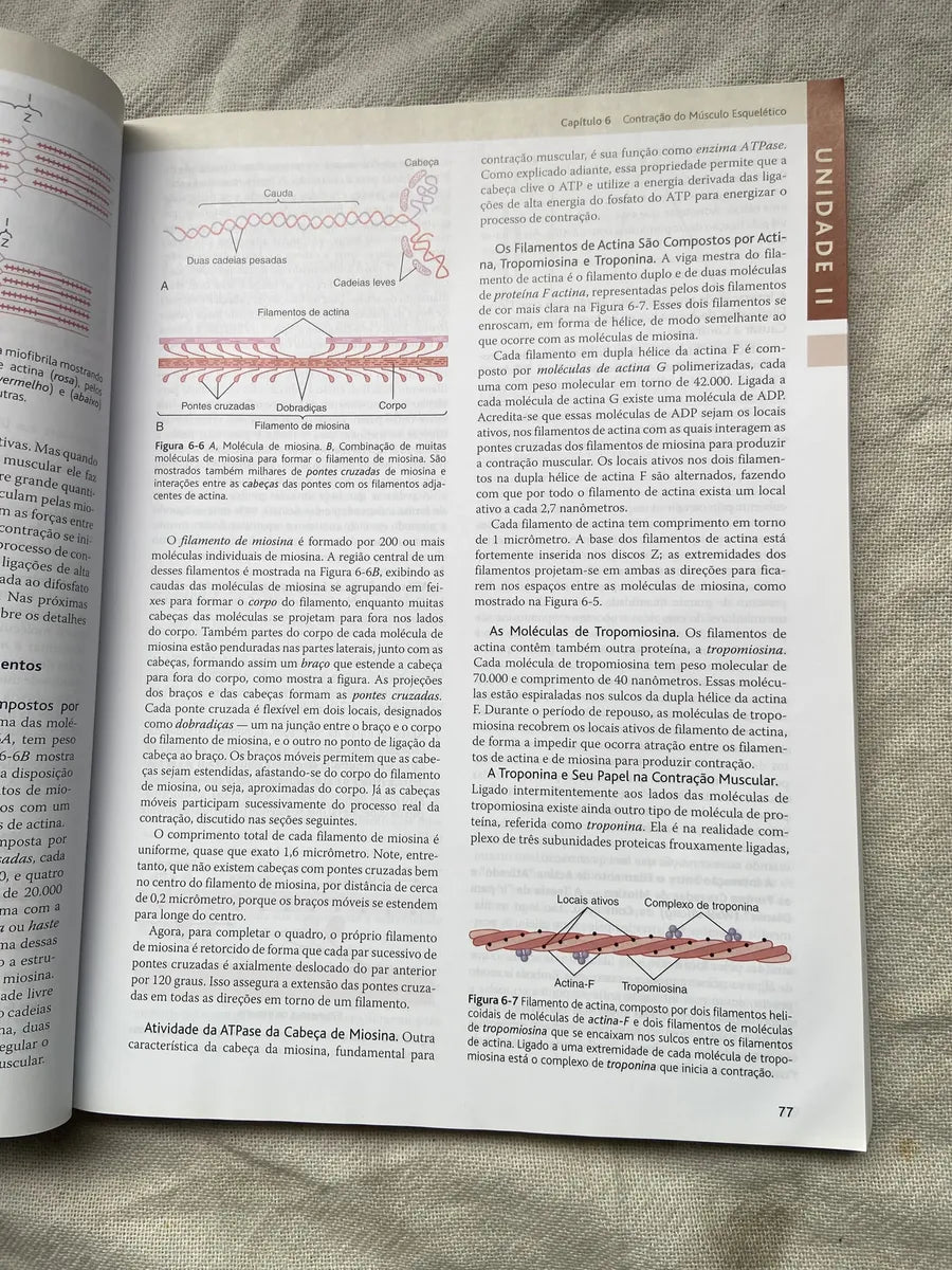 Livro Tratado De Fisiologia Médica Guyton E Hall Box 3 Vol (Usado)