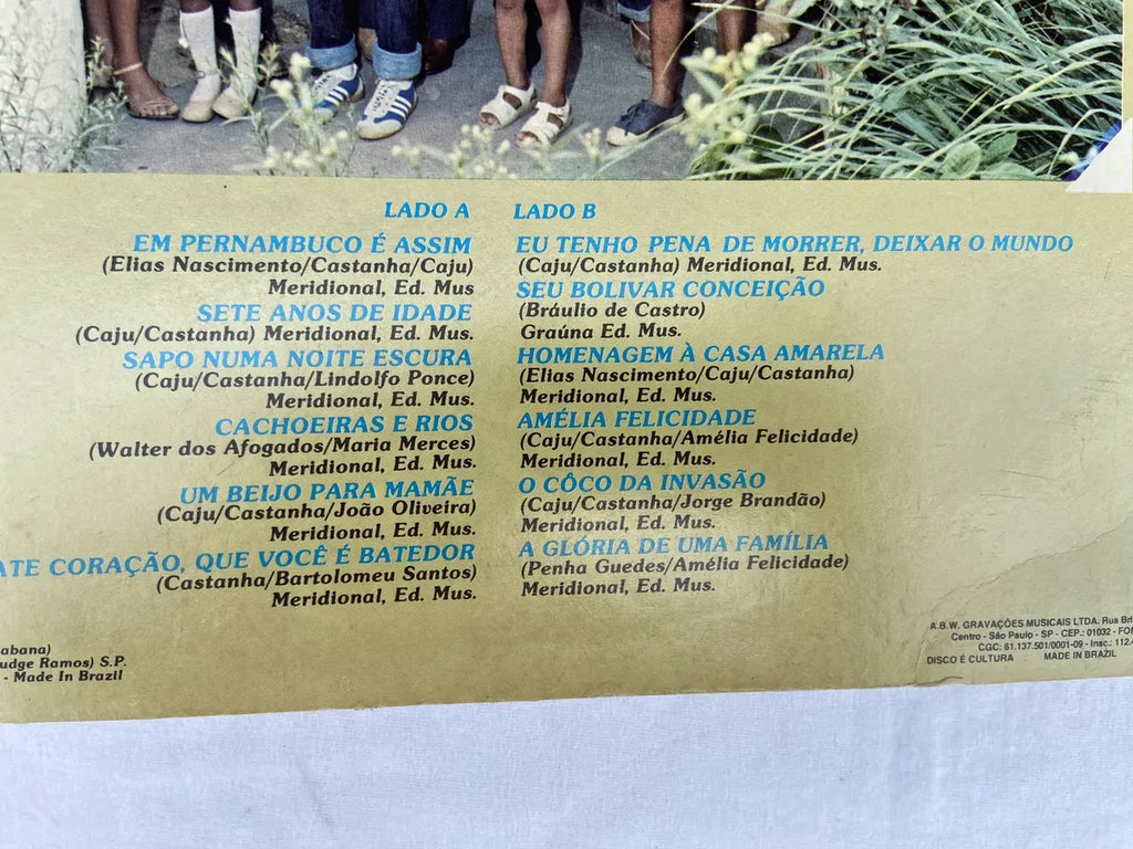 Lp Caju E Castanha Álbum De Família 1991 (Usado)