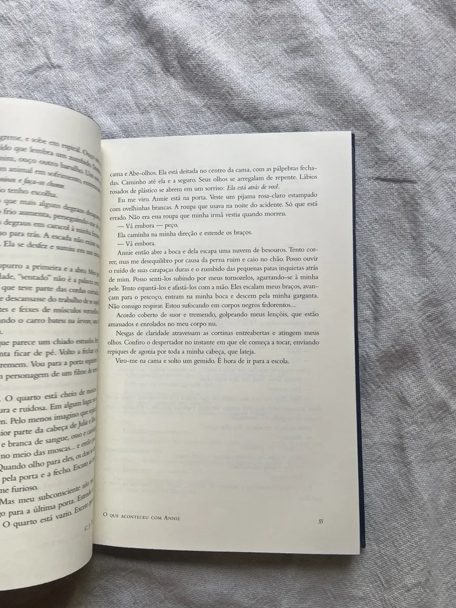 Livro Oque Acontceu Com Annie C J Tudor Capa Dura (Usado)