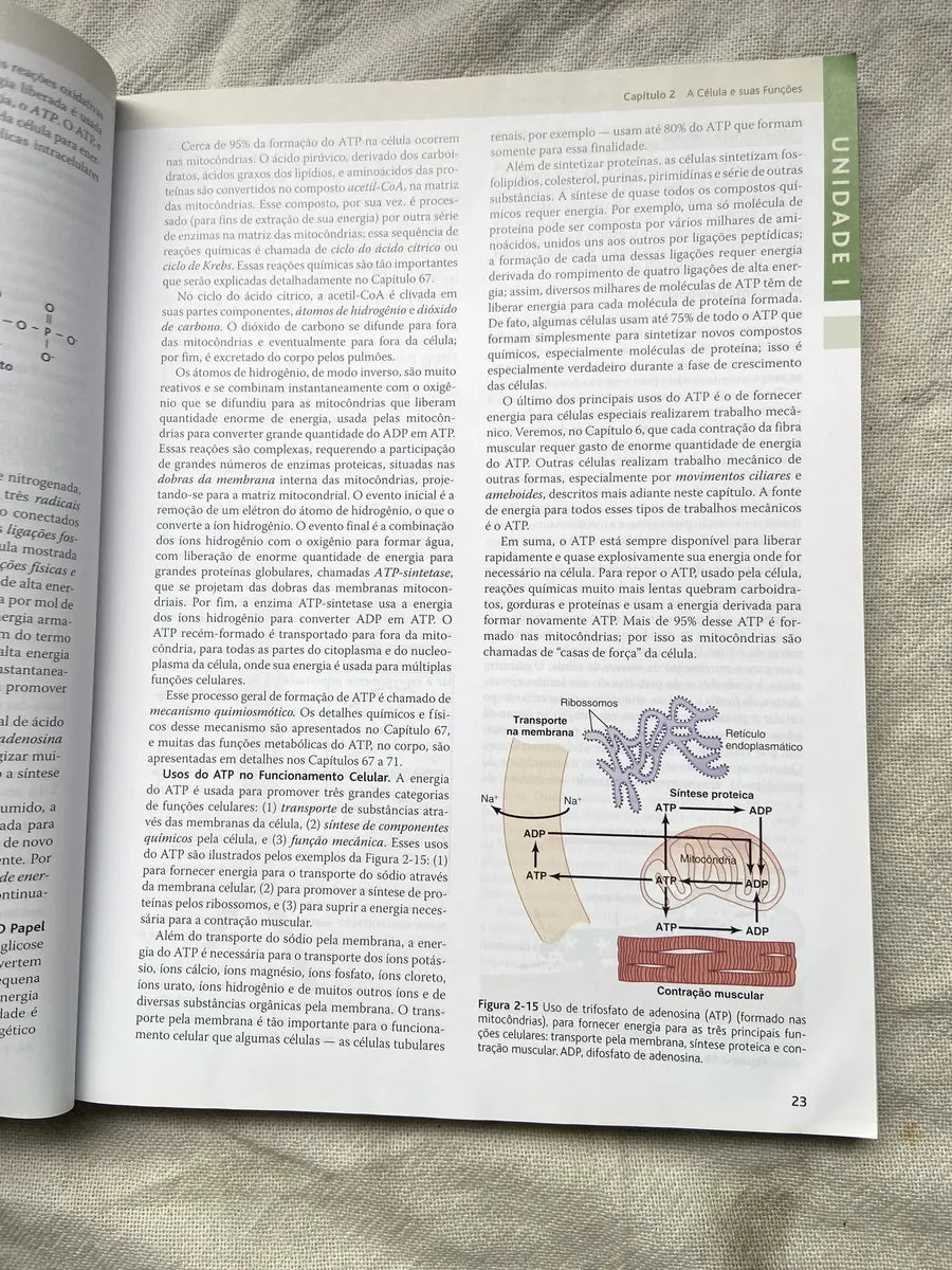 Livro Tratado De Fisiologia Médica Guyton E Hall Box 3 Vol (Usado)