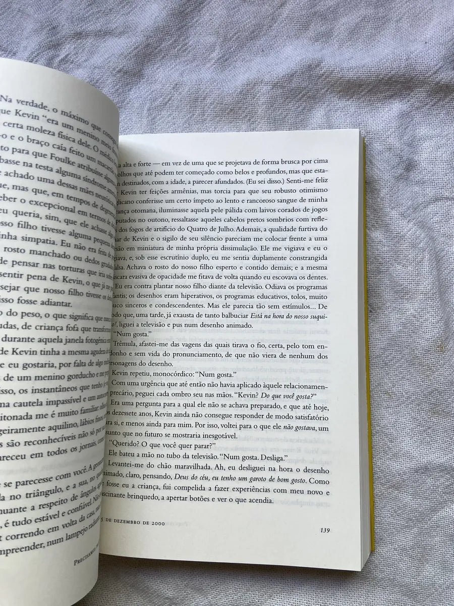 Livro Precisamos Falar Sobre O Kevin Lionel Shriver 2007 (Usado)