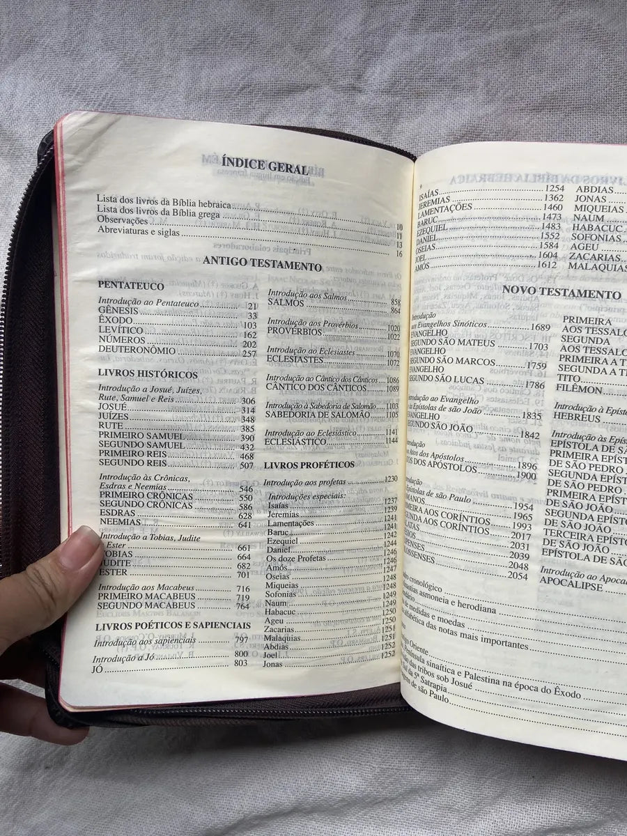 Livro Bíblia De Jerusalém Nova Edição Revista 2002 (Usado)