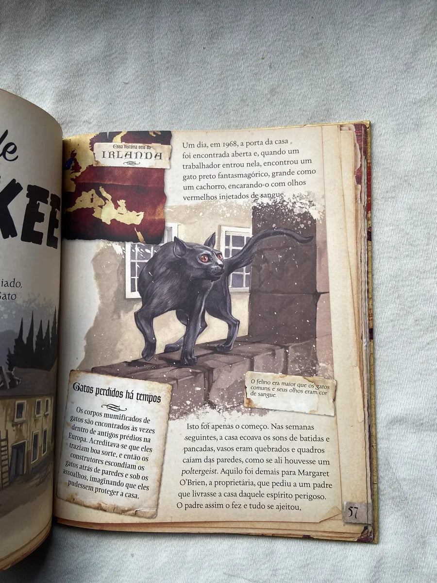 Livro Monstro Mania Fantasmas Lobisomens Bruxas E Vampiros (Usado)