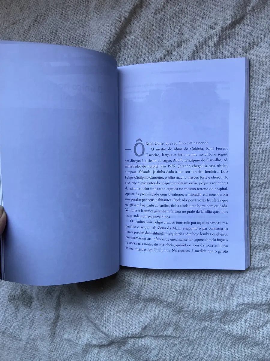 Livro Holocausto Brasileiro Daniela Arbex 21 Edição 2013 (Usado)