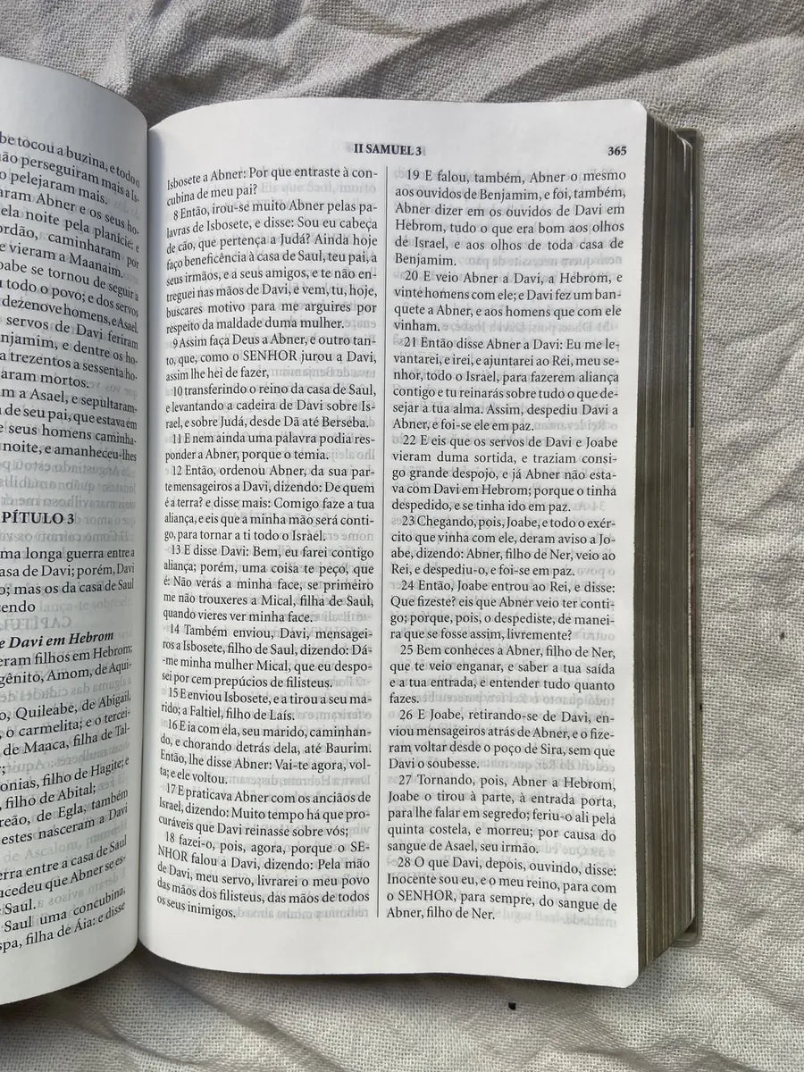 Livro Bíblia Sagrada João Ferreira De Almeida Letras Grandes (Usado)