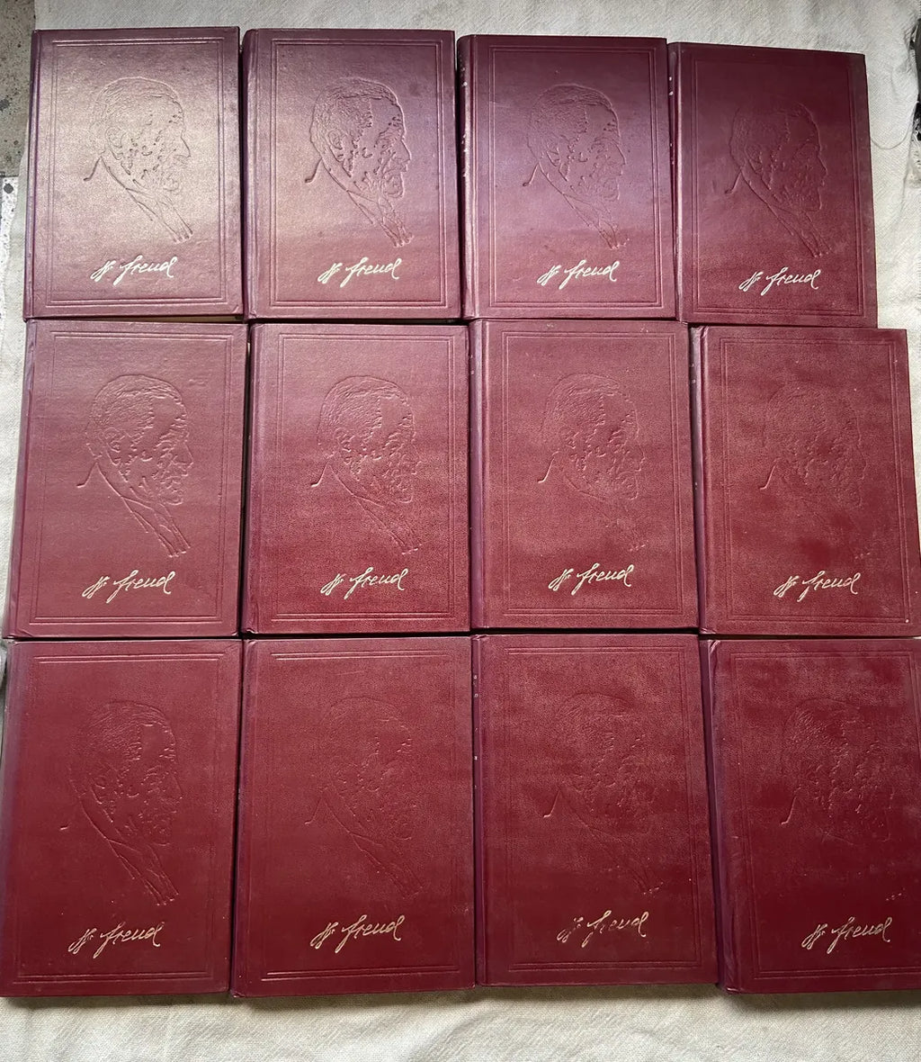 Livro Obras Psicológicas Completas Sigmund Freud Box 24 Vol (Usado)