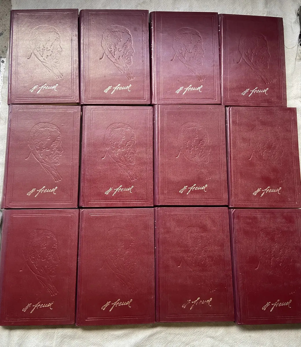 Livro Obras Psicológicas Completas Sigmund Freud Box 24 Vol (Usado)