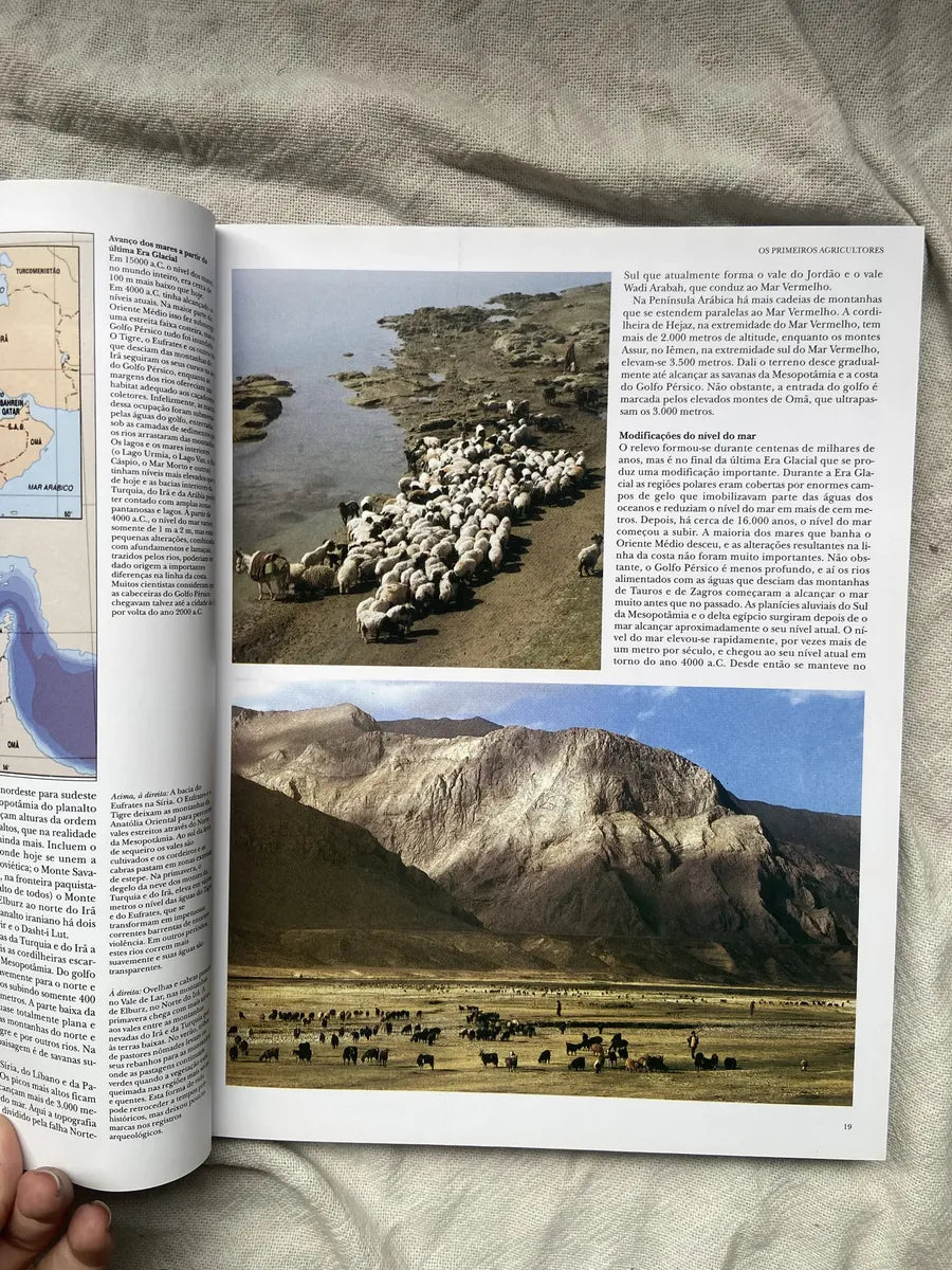 Livro Mesopotâmia Coleção Grandes Civilizações Do Passado (Usado)