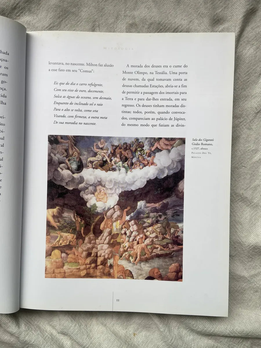 O Livro De Ouro Da Mitologia História De Deuses E Heróis (Usado)