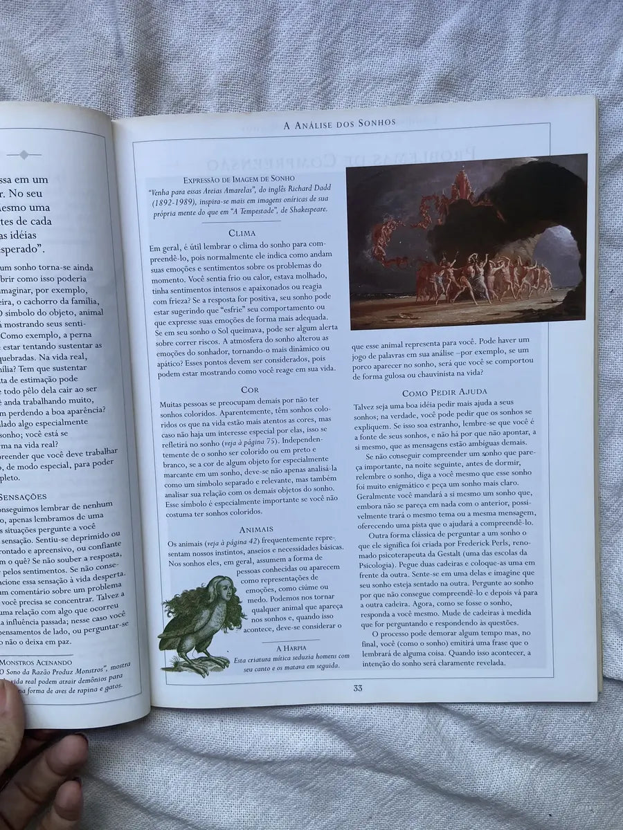 Livro O Livro Ilustrado Dos Sonhos 2 Edição 2001 (Usado)
