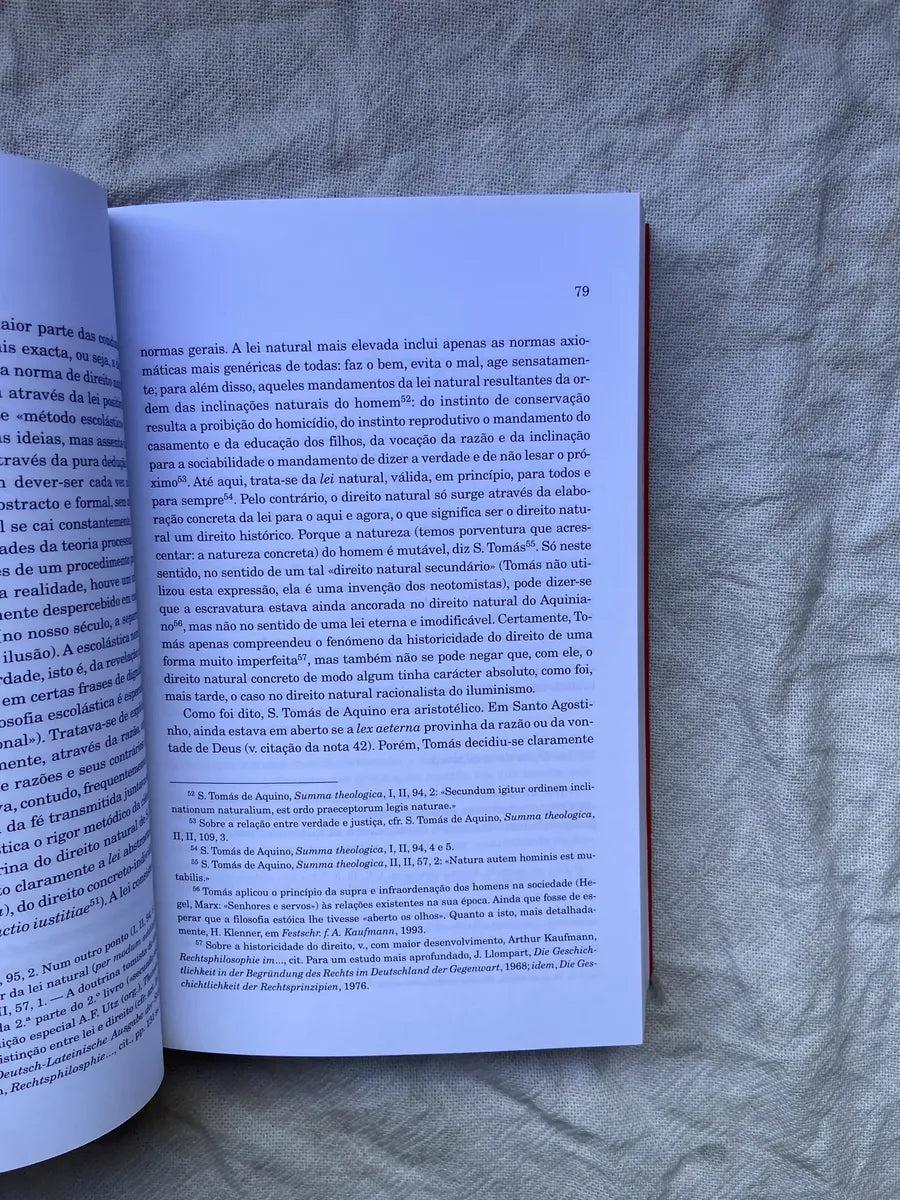 Livro Introdução A Filosofia Do Direito E Teoria Do Direito (Usado)